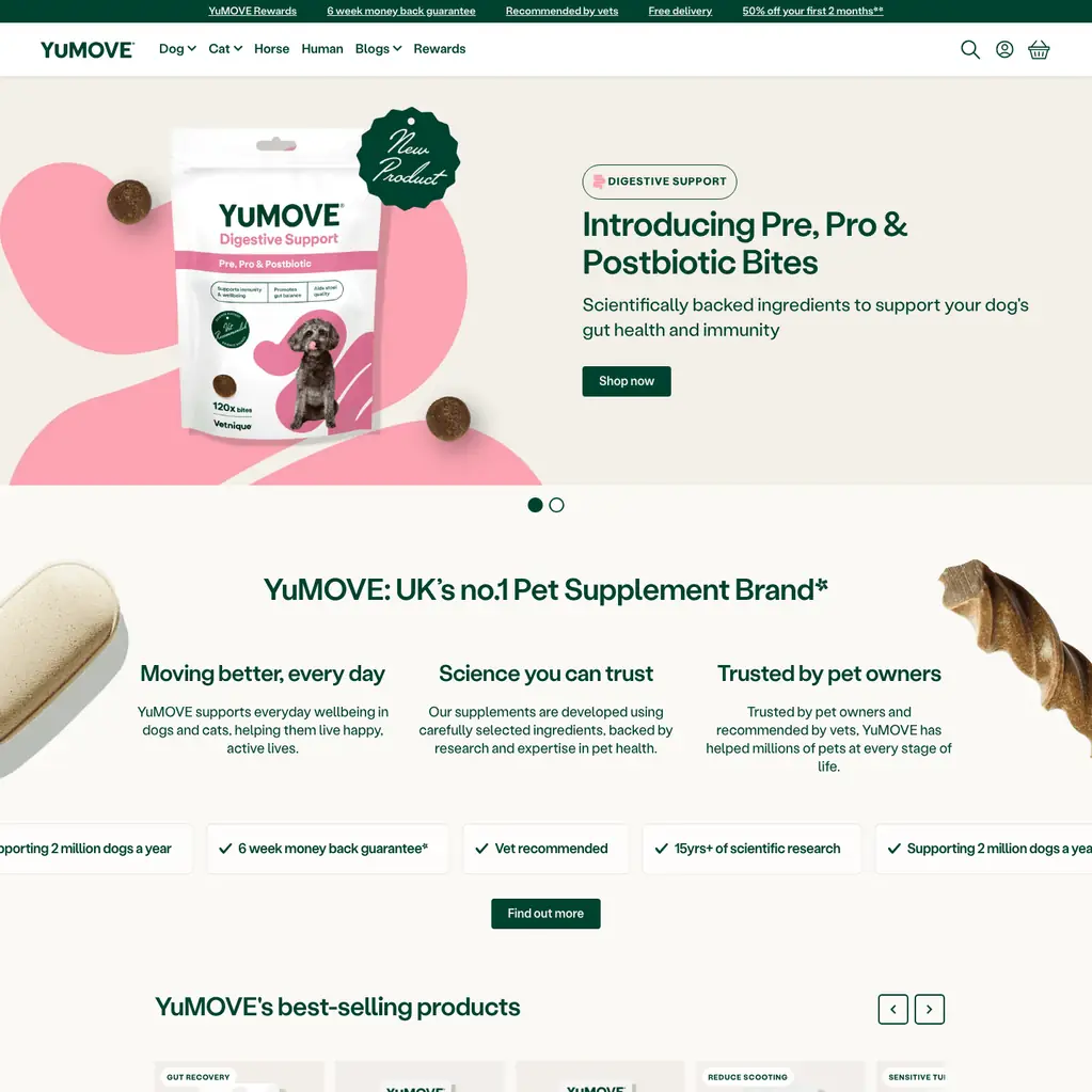 Homepage ~ YuMOVE by oContis Studio